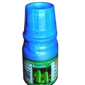 Booster 1